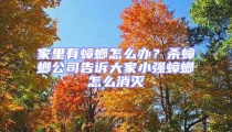 家里有蟑螂怎么办？杀蟑螂公司告诉大家小强蟑螂怎么消灭
