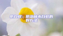 防白蚁：防治林木白蚁的好方法