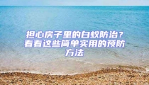 担心房子里的白蚁防治？看看这些简单实用的预防方法
