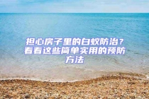 担心房子里的白蚁防治？看看这些简单实用的预防方法