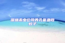 深圳杀虫公司养孔雀鱼吃蚊子