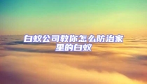 白蚁公司教你怎么防治家里的白蚁