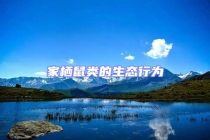 家栖鼠类的生态行为