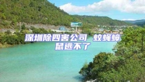 深圳除四害公司 蚊蝇蟑鼠逃不了