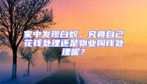 家中发现白蚁,究竟自己花钱处理还是物业掏钱处理呢?