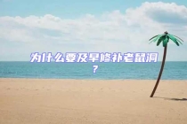 为什么要及早修补老鼠洞？