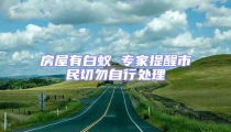 房屋有白蚁 专家提醒市民切勿自行处理