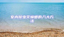 室内除虫灭蟑螂的八大方法