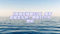【深圳灭蟑螂公司】家有老鼠怎么办?教你几个小妙招
