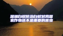 深圳白蚁防治白蚁对我国农作物还不是重要的害虫