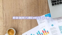 教你如何巧用白蚁药灭白蚁