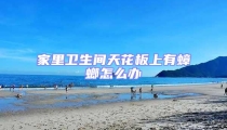 家里卫生间天花板上有蟑螂怎么办