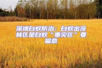 深圳白蚁防治：白蚁出没林区是白蚁“重灾区”要留意