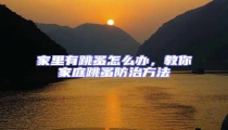 家里有跳蚤怎么办，教你家庭跳蚤防治方法