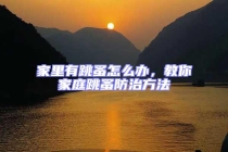 家里有跳蚤怎么办，教你家庭跳蚤防治方法