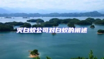 灭白蚁公司对白蚁的阐述