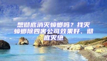 想彻底消灭蟑螂吗？找灭蟑螂除四害公司效果好、彻底灭绝