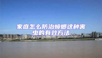 家庭怎么防治蟑螂这种害虫的有效方法