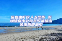 吸血虫叮咬人太恐怖 深圳除臭虫公司杀灭集体宿舍床板吸血虫