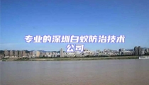 专业的深圳白蚁防治技术公司