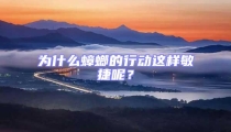 为什么蟑螂的行动这样敏捷呢？