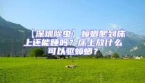 【深圳除虫】蟑螂爬到床上还能睡吗?床上放什么可以驱蟑螂?