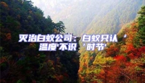 灭治白蚁公司:白蚁只认‘温度'不识‘时节'