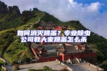 如何消灭跳蚤？专业除虫公司教大家跳蚤怎么杀