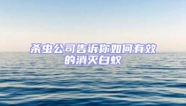 杀虫公司告诉你如何有效的消灭白蚁