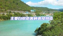 主要白蚁危害种类及特点