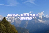 白蚁站：很多建筑室内“温暖如春”