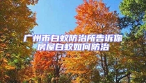 广州市白蚁防治所告诉你房屋白蚁如何防治