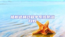 植树造林过程中系统防治白蚁