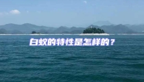 白蚁的特性是怎样的?