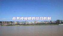 商务楼蟑螂的综合防制