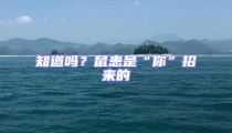 知道吗?鼠患是“你”招来的