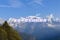 家庭中常见蚂蚁种类