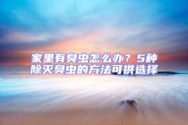 家里有臭虫怎么办？5种除灭臭虫的方法可供选择