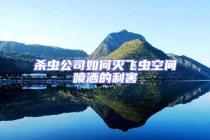 杀虫公司如何灭飞虫空间喷洒的利害