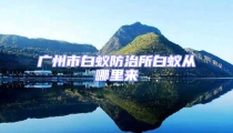 广州市白蚁防治所白蚁从哪里来