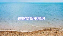 白蚁防治小常识