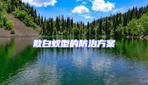 散白蚁型的防治方案