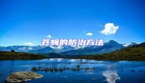 苍蝇的防治方法