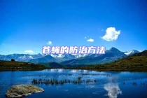 苍蝇的防治方法