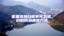 家里发现白蚁不可忽视,白蚁防治最佳方法