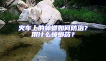 火车上的蟑螂如何防治?用什么蟑螂药?