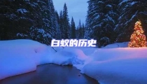 白蚁的历史