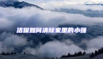 洁保如何清除家里的小强
