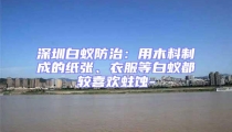 深圳白蚁防治:用木料制成的纸张、衣服等白蚁都较喜欢蛀蚀-