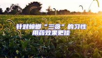 针对蟑螂“三贪”的习性用药效果更佳